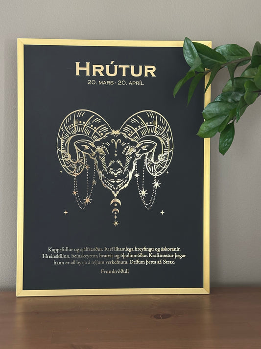 HRÚTUR