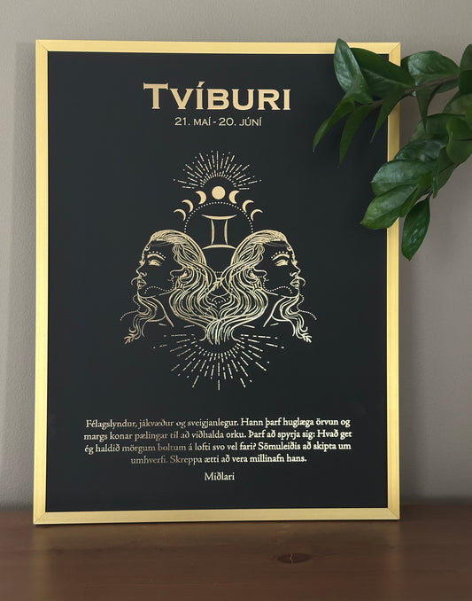 TVÍBURI